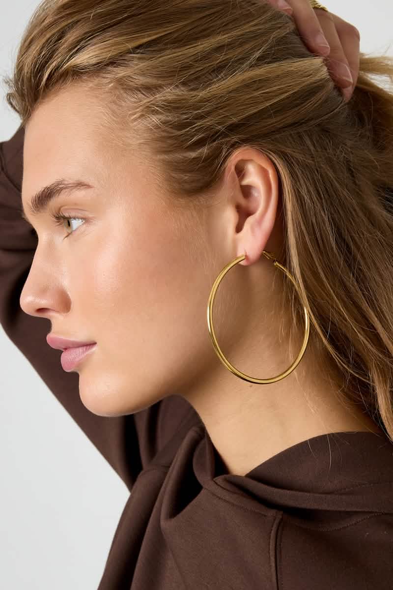 Stainless Steel Hoop Earrings Geometric Casual Daily Simple Series Women's jewelryWomen's jewelry/Earrings/Hoop EarringsLovirea