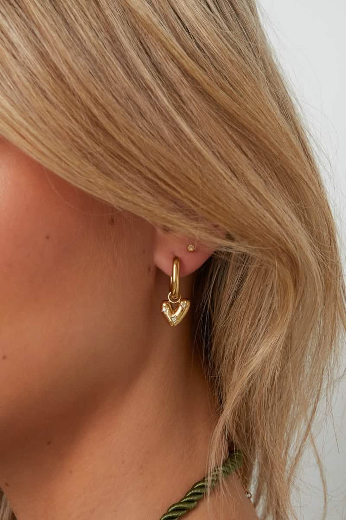 Stainless Steel Drop Earrings Heart