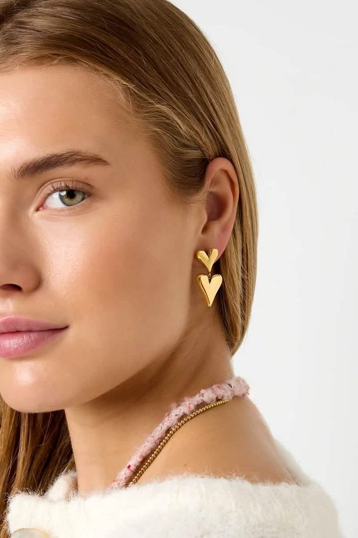 Stainless Steel Drop Earrings Heart