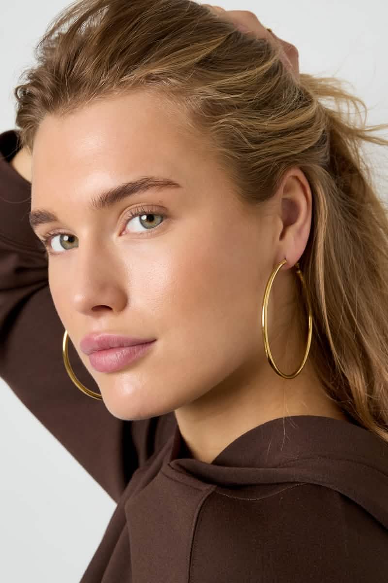 Stainless Steel Hoop Earrings Geometric Casual Daily Simple Series Women's jewelryWomen's jewelry/Earrings/Hoop EarringsLovirea