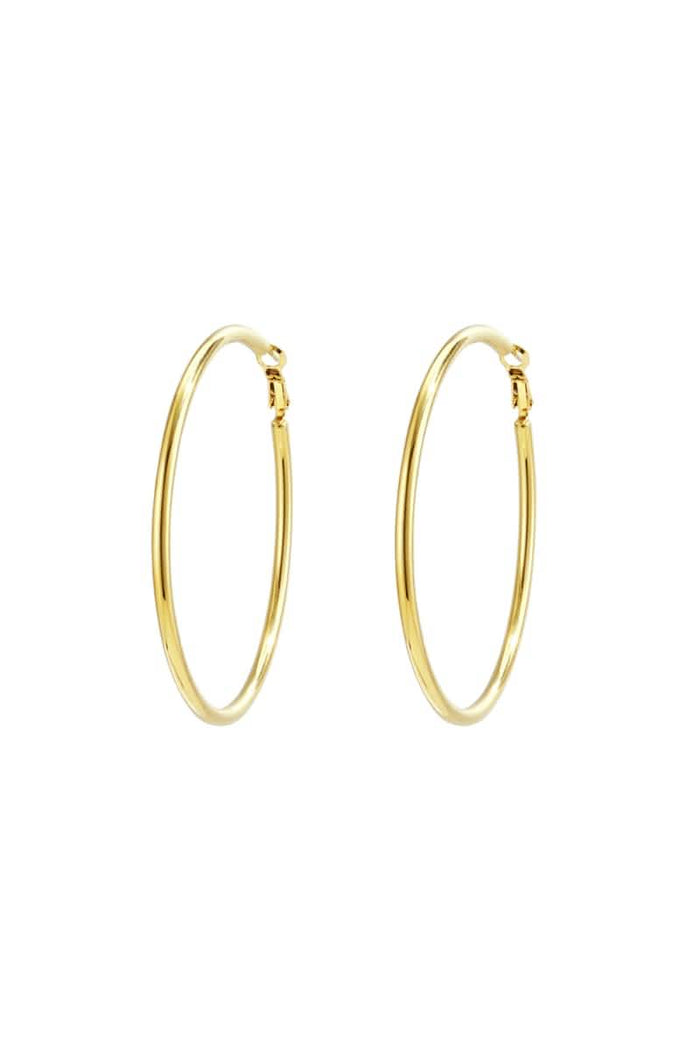 Stainless Steel Hoop Earrings
