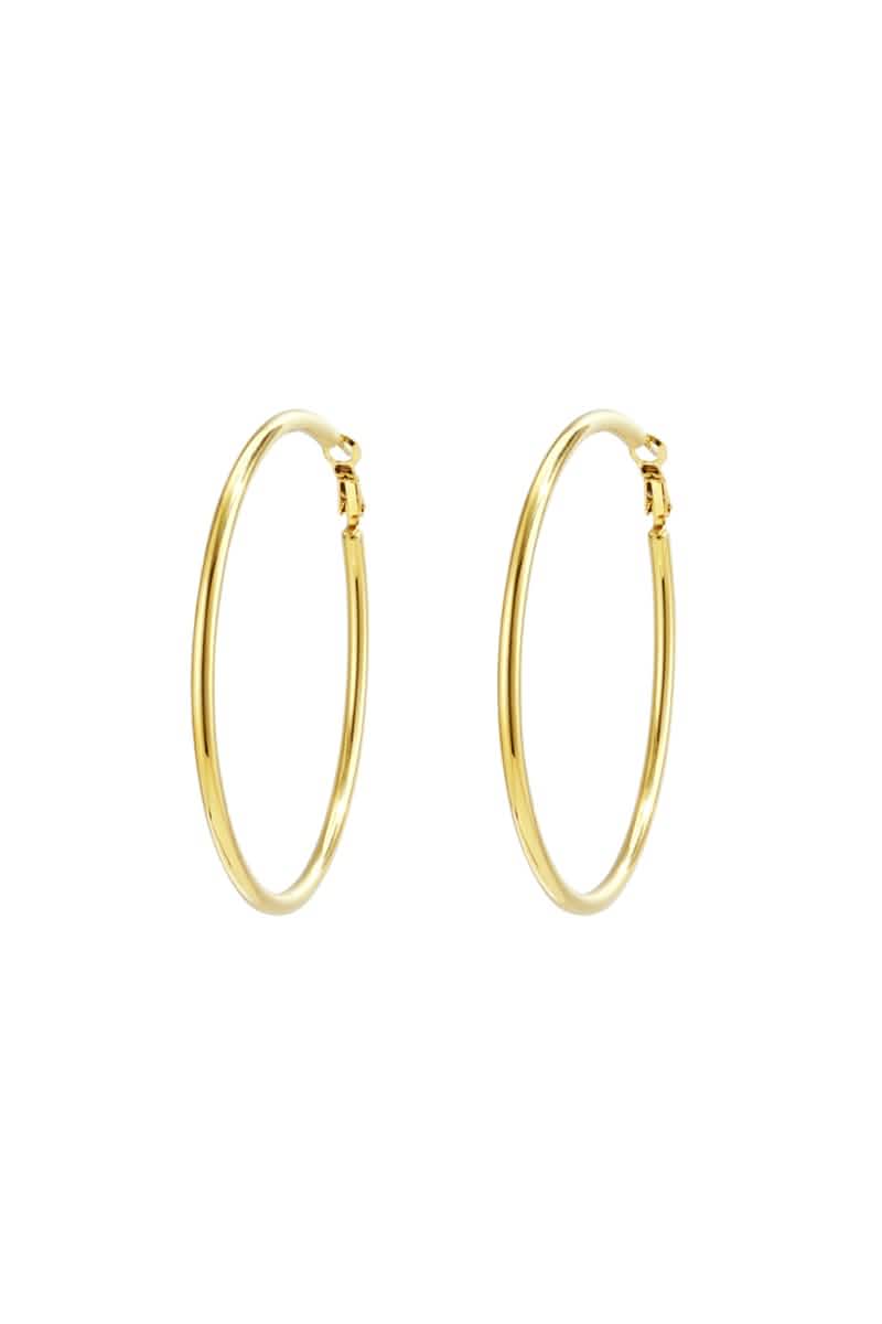 Stainless Steel Hoop Earrings Geometric Casual Daily Simple Series Women's jewelryWomen's jewelry/Earrings/Hoop EarringsLovirea